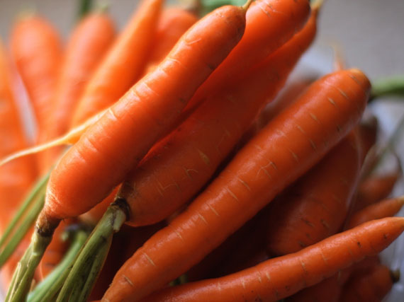 Zanahorias y rabanitos: cultvalos en casa!